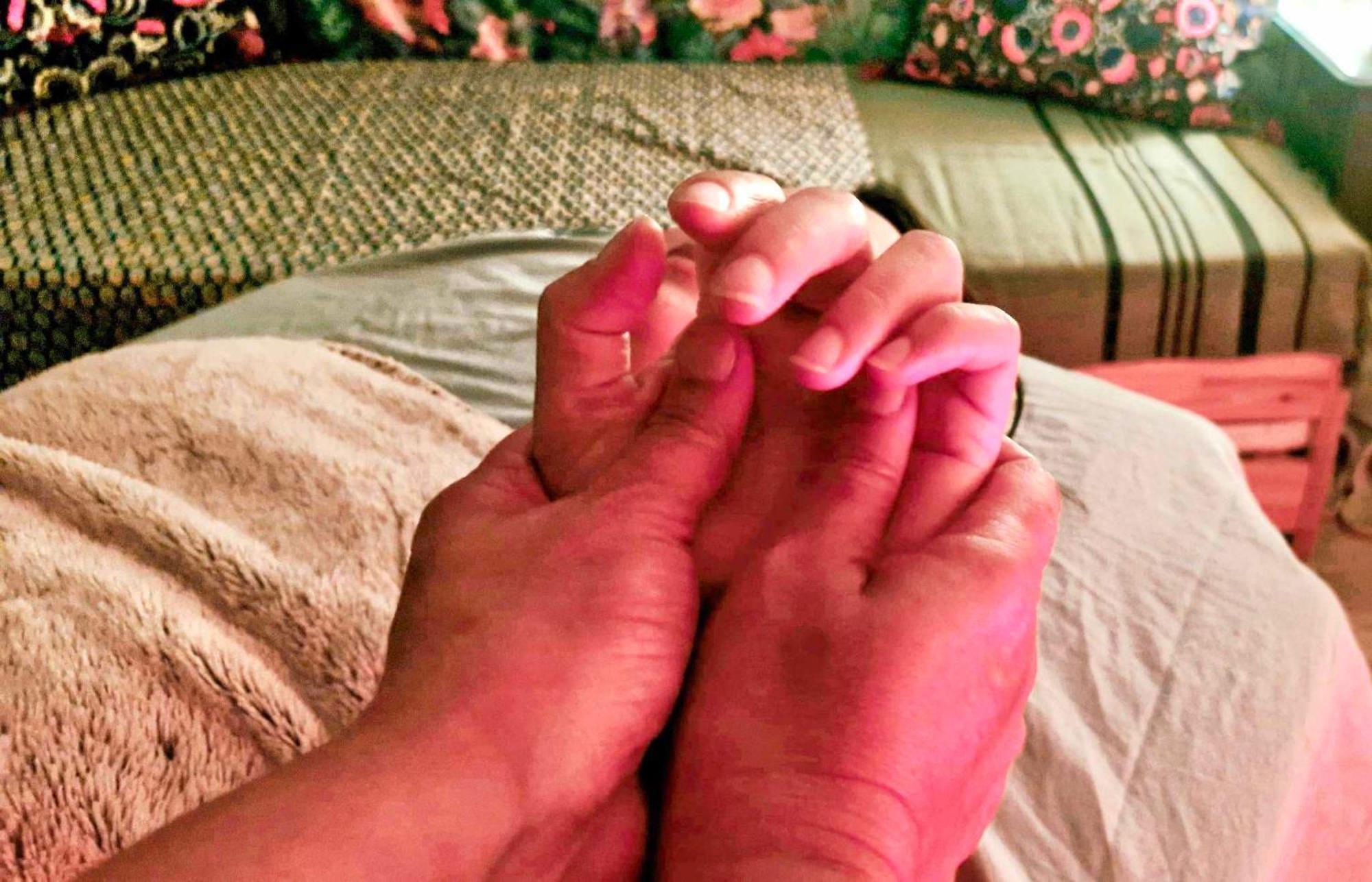 Glomel Le Vert Nomade المظهر الخارجي الصورة